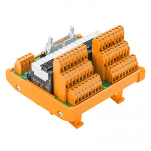 RSMS-16 24VDC 1NO+C Z