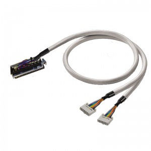 PAC-CJ1W-2X10-V2-1M