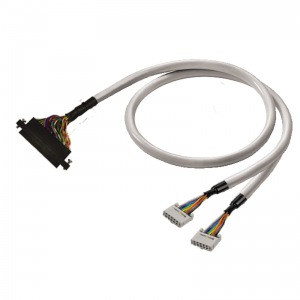 PAC-CJ1W-2X10-V3-1M5