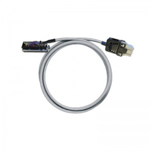 PAC-CJ1W-RV12-V0-1M