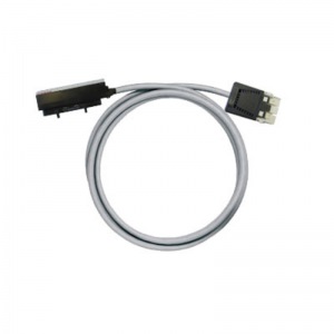 PAC-CTLX-RV36-V1-3M