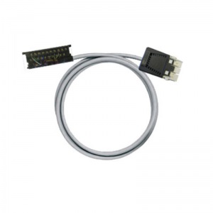 PAC-RX3I-RV36-V2-3M