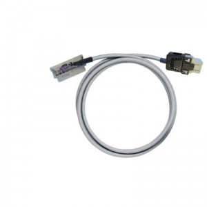 PAC-MICR-RV12-V0-2M