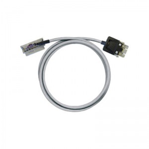 PAC-MICR-RV24-V1-0M5