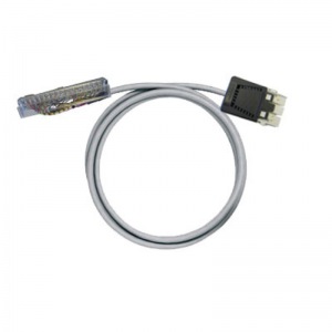 PAC-MICR-RV36-V0-3M