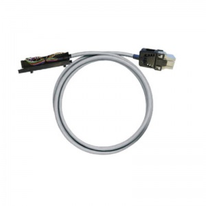 PAC-S300-RV24-V6-1M