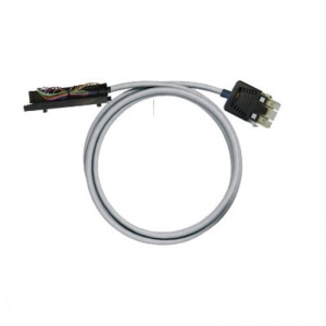 PAC-S300-RV24-V2-6M