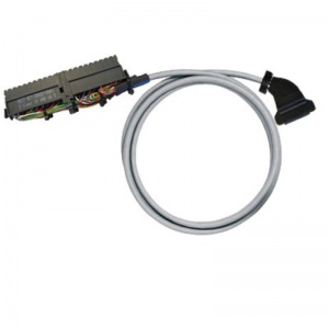 PAC-S300-HE20-V10-1M5